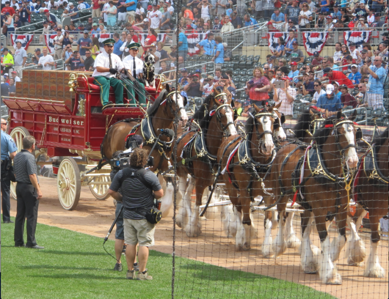 The Clydesdales (and the Dalmatian!) came back for the Big Game.